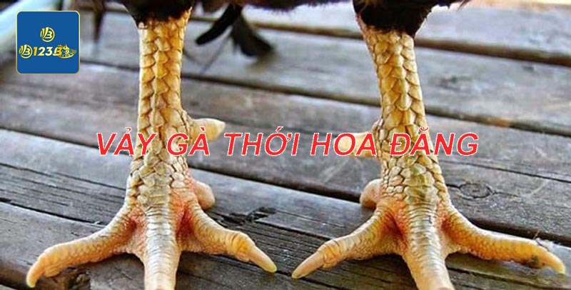 Vảy gà thới hoa đăng là loại vảy đặc biệt vì nó lạ và hiếm